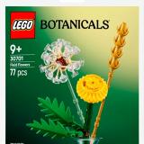 Set LEGO 30701